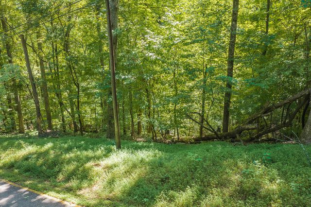 H-91 Mountain Oak Road, Ellijay, GA 30536