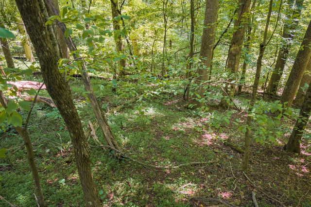H-91 Mountain Oak Road, Ellijay, GA 30536