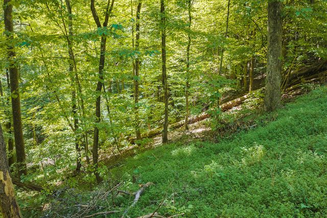 H-91 Mountain Oak Road, Ellijay, GA 30536