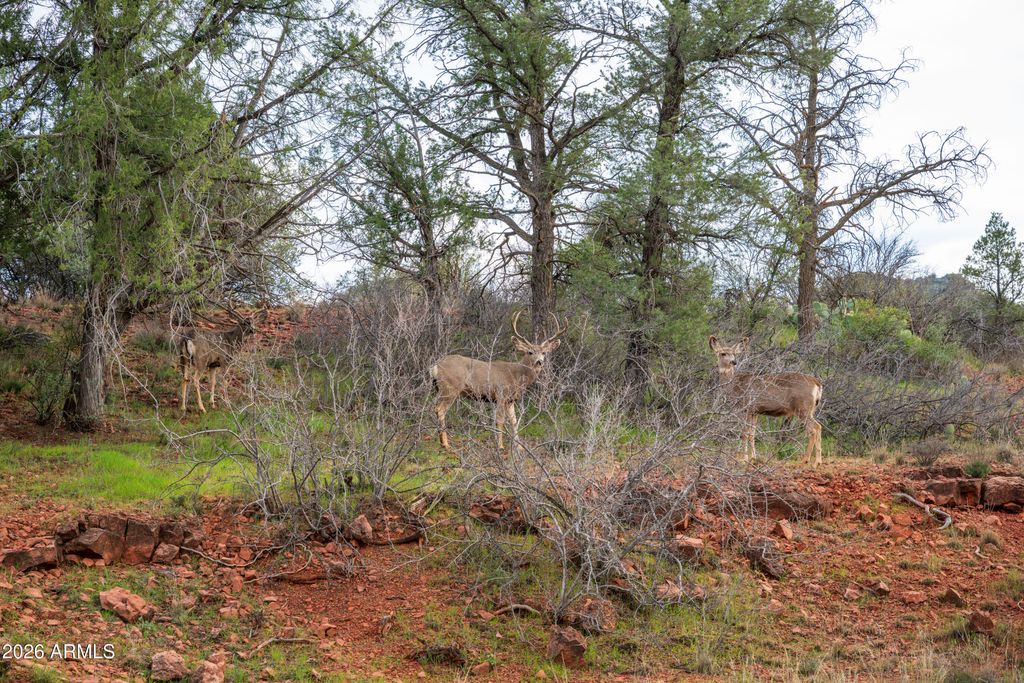 Image 23 of property listing at 35 RUSSET RIDGE Place 78, Sedona, AZ 86336