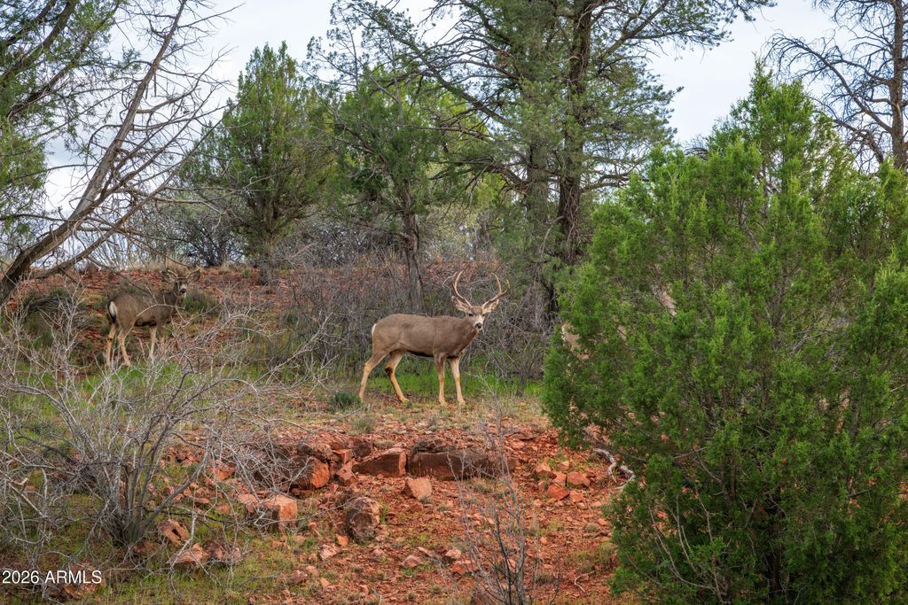 Image 24 of property listing at 35 RUSSET RIDGE Place 78, Sedona, AZ 86336