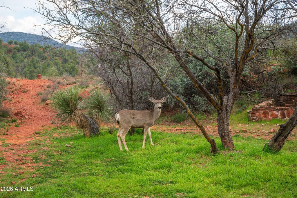 Image 25 of property listing at 35 RUSSET RIDGE Place 78, Sedona, AZ 86336