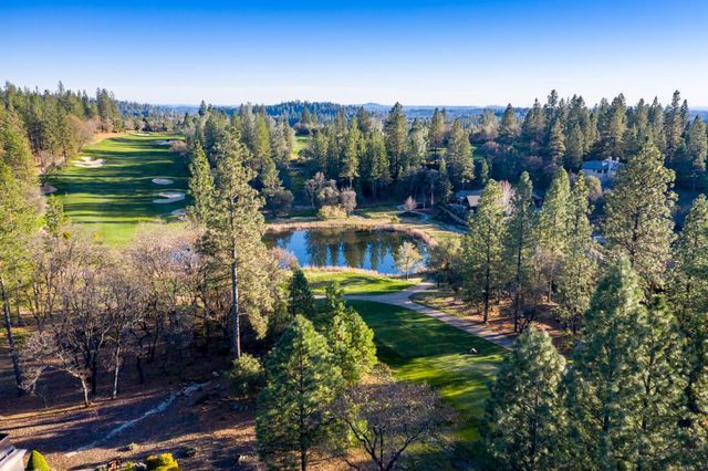 16315 Winchester Club Dr, Meadow Vista, CA 95722
