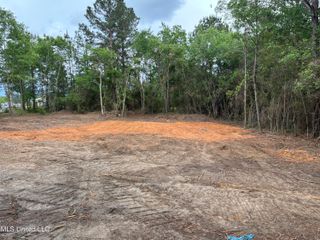 Lot 3 Wortham Road, Saucier, MS 39574