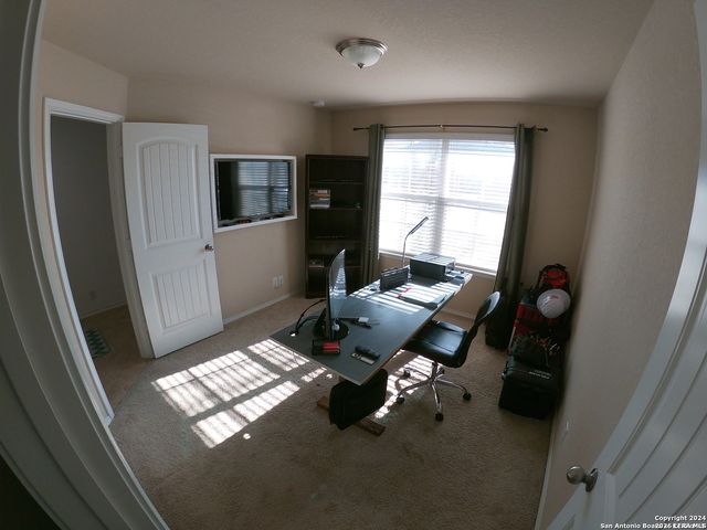 713 Brown Thrasher, San Antonio, TX 78253