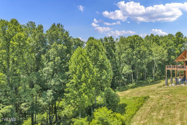 Lot 30 Eagle Ridge Parkway, Butler, TN 37640