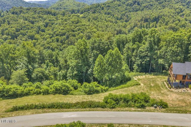 Lot 30 Eagle Ridge Parkway, Butler, TN 37640