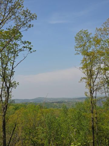 Lot 105 Twisted Oak Road, Talking Rock, GA 30175
