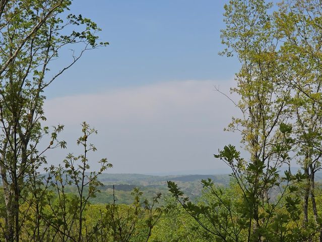 Lot 105 Twisted Oak Road, Talking Rock, GA 30175