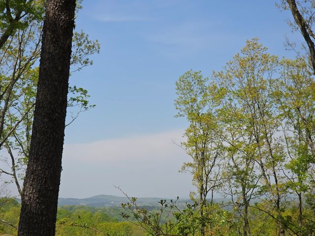 Lot 105 Twisted Oak Road, Talking Rock, GA 30175