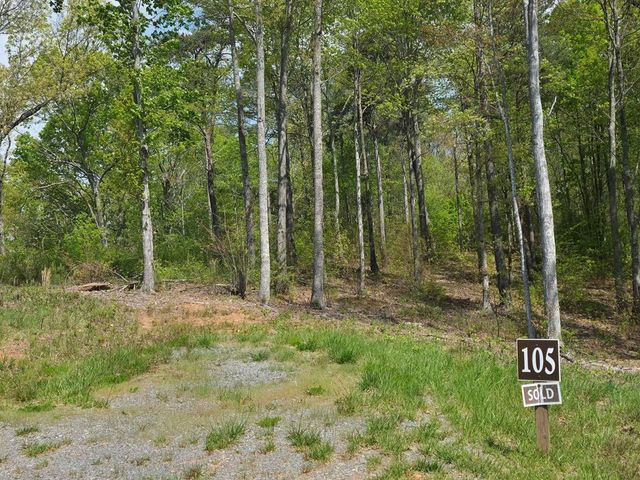 Lot 105 Twisted Oak Road, Talking Rock, GA 30175
