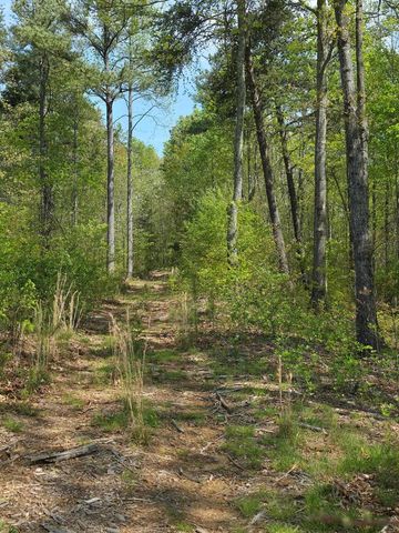 Lot 105 Twisted Oak Road, Talking Rock, GA 30175