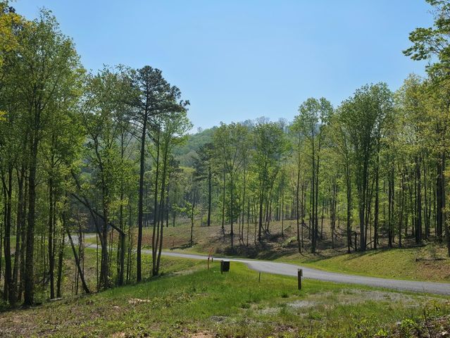 Lot 105 Twisted Oak Road, Talking Rock, GA 30175
