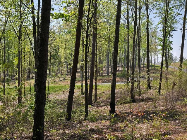 Lot 105 Twisted Oak Road, Talking Rock, GA 30175