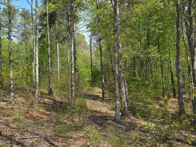 Lot 105 Twisted Oak Road, Talking Rock, GA 30175