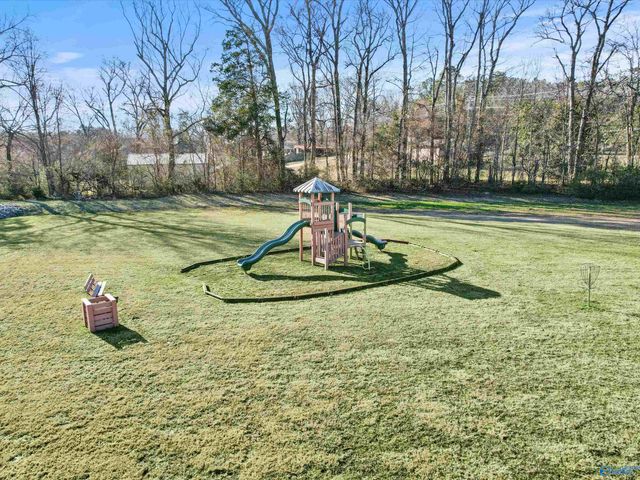 115 Autumn Ashe Road, Madison, AL 35756