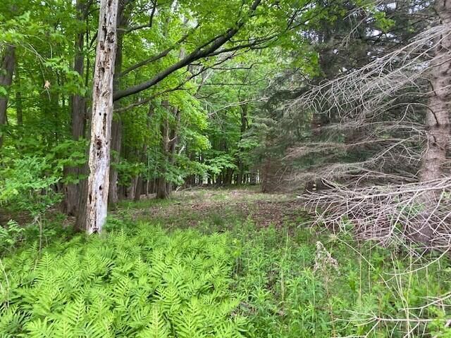 34 ST RT 95, Moira, NY 12957