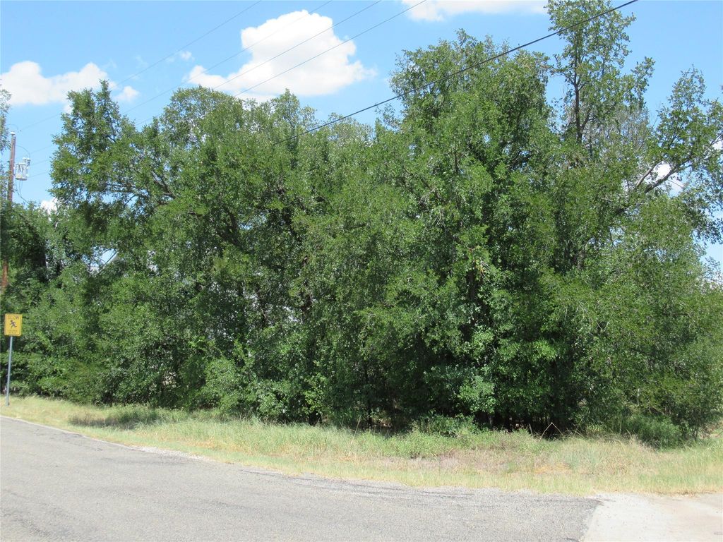 18406 Austin DR, Jonestown, TX 78645
