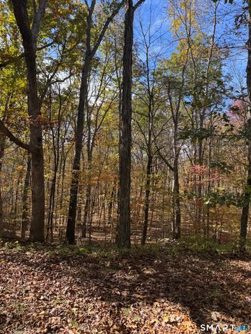 87 Buff Cap Road, Tolland, CT 06084