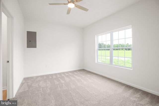 12469 PAIGE RD, Woodford, VA 22580