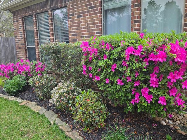 2710 King Point View Lane, Spring, TX 77388