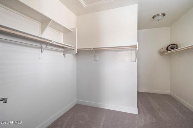 32017 N 117th Drive, Peoria, AZ 85383