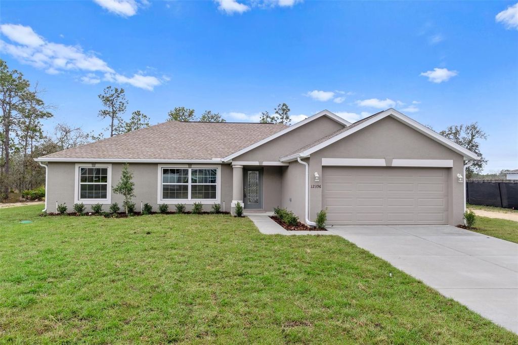 12399 PIPING PLOVER AVENUE, Weeki Wachee, FL 34614