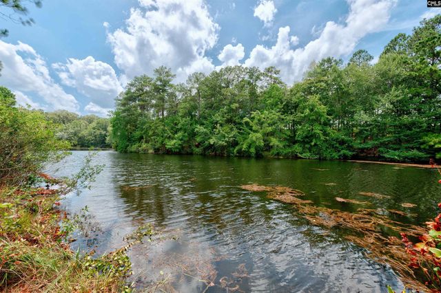 204 Sapphire Gem Lane, Elgin, SC 29045