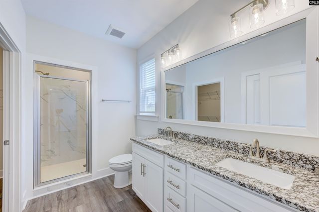 204 Sapphire Gem Lane, Elgin, SC 29045