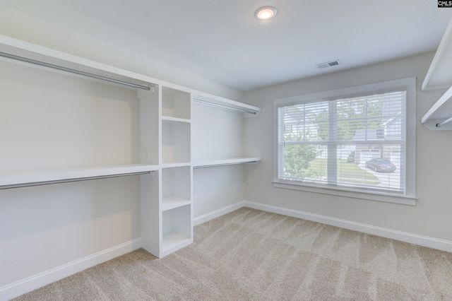 204 Sapphire Gem Lane, Elgin, SC 29045