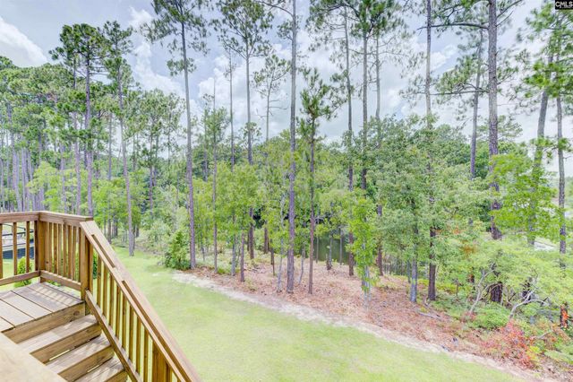 204 Sapphire Gem Lane, Elgin, SC 29045