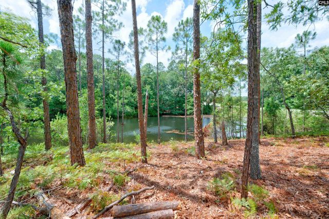 204 Sapphire Gem Lane, Elgin, SC 29045