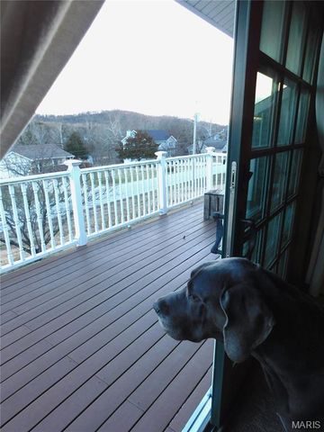 1802 Deer Run Trail, Pacific, MO 63069