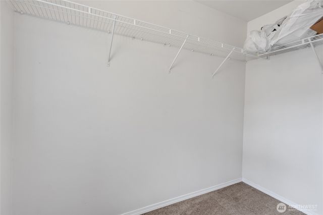 8022 26th Avenue SE, Lacey, WA 98503
