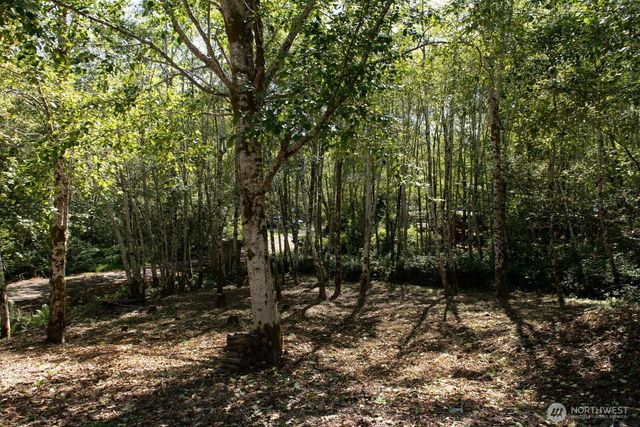 34 Marissa Lane, Mccleary, WA 98557