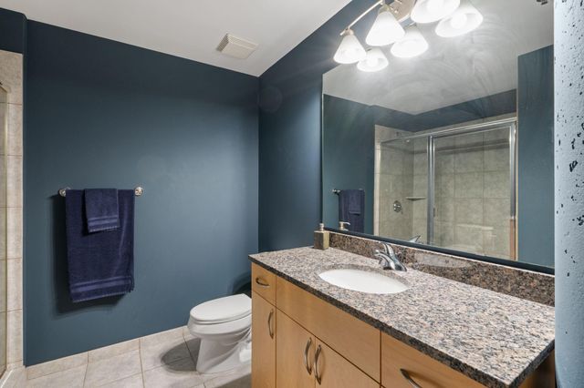 215 10th Avenue S 703, Minneapolis, MN 55415