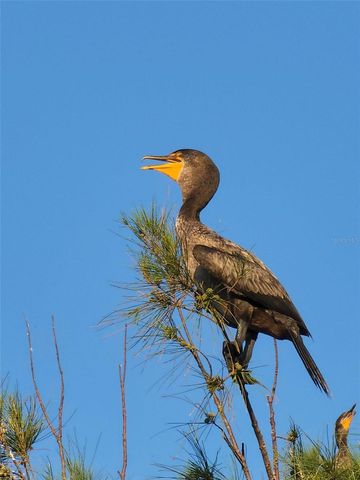 6035 SEA RANCH DRIVE 204, Hudson, FL 34667