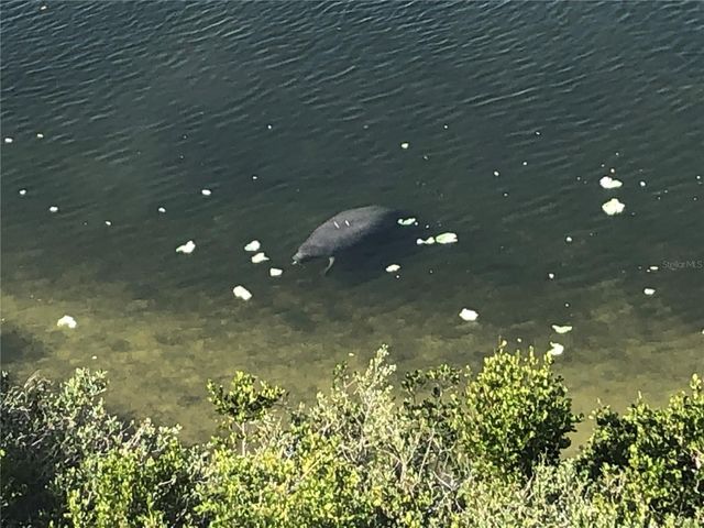 6035 SEA RANCH DRIVE 204, Hudson, FL 34667