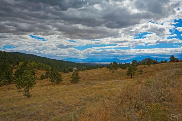 9496 County Rd 328, Westcliffe, CO 81252