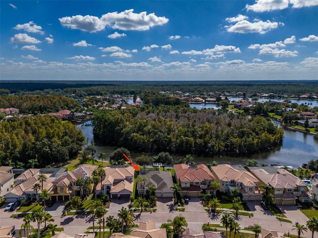 10537 MARTINIQUE ISLE DRIVE, Tampa, FL 33647