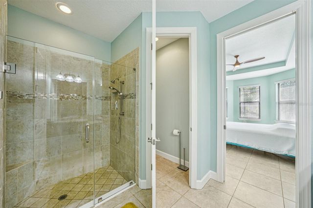 8433 ALBERATA VISTA DRIVE, Tampa, FL 33647