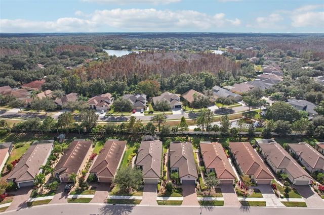 8433 ALBERATA VISTA DRIVE, Tampa, FL 33647