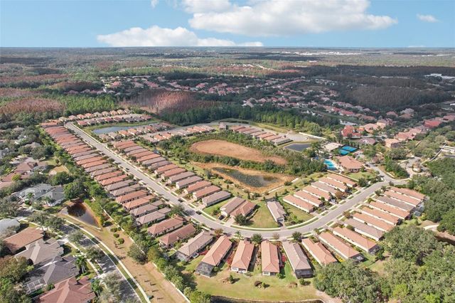 8433 ALBERATA VISTA DRIVE, Tampa, FL 33647