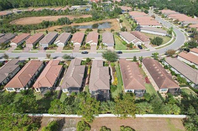 8433 ALBERATA VISTA DRIVE, Tampa, FL 33647