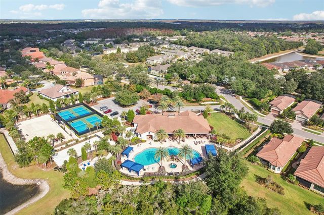 8433 ALBERATA VISTA DRIVE, Tampa, FL 33647