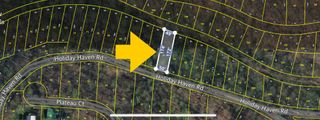 0 Holiday Haven Rd, Smithville, TN 37166