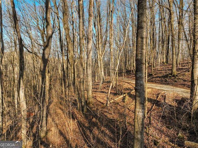 LOT 12 Mount Mincie Road, Murrayville, GA 30564