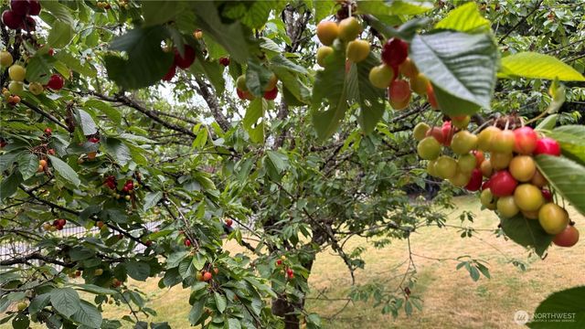 19205 124th Avenue SE, Kent, WA 98031