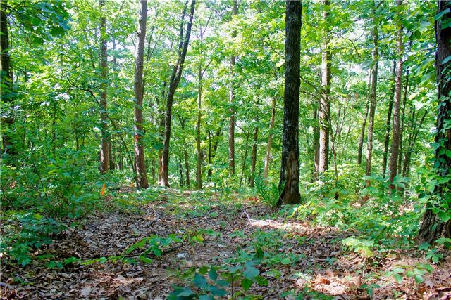 000 County Road 207, Eureka Springs, AR 72632