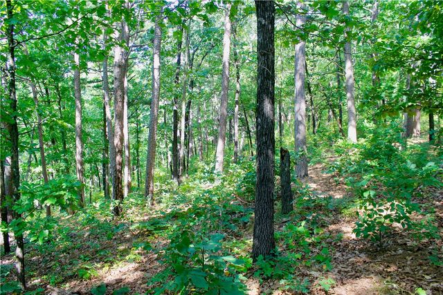 000 County Road 207, Eureka Springs, AR 72632